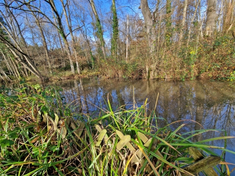 Biens de charme et de caractère en Val de Loire