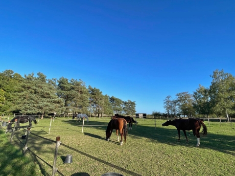 Cabinet LOIRE & CHARME Immobilier - Demeures de caractère en Val de Loire