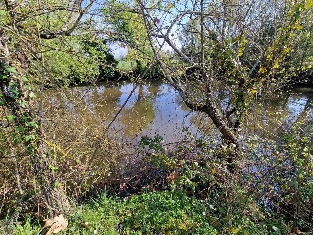 Photo 17